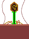 Link's de Biologia